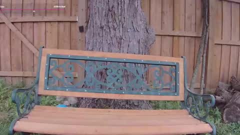 Ella Bella Bo Bella online show from 09.13.25