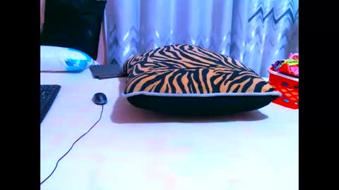 Snapshot of elodielynn chatting on 05.19.26 elodielynn online show from 05.19.26