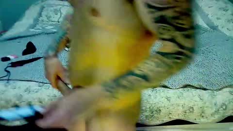 Elpouro online show from 03.09.26