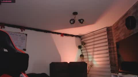 Snapshot of ema_ploxx chatting on 01.13.25 ema_ploxx online show from 01.13.25