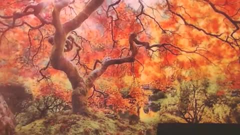 Snapshot of ember_starleena chatting on 09.29.25 Ember Starleena online show from 09.29.25