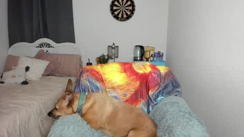 Snapshot of emberpheonixxx chatting on 01.17.25 Ember Pheonixxx online show from 01.17.25