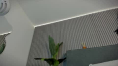 emelie_89 online show from 06.06.26