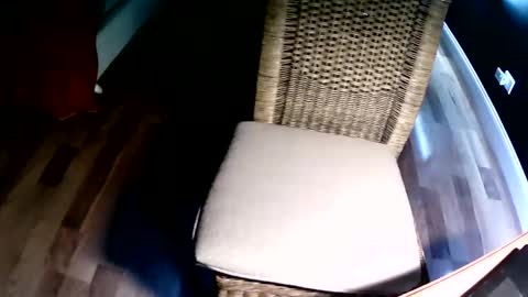 Snapshot of emi4850 chatting on 12.08.24 emi4850 online show from 12.08.24