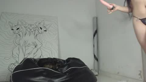 Antonella  online show from 05.15.26