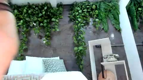 Emily online show from 07.26.26