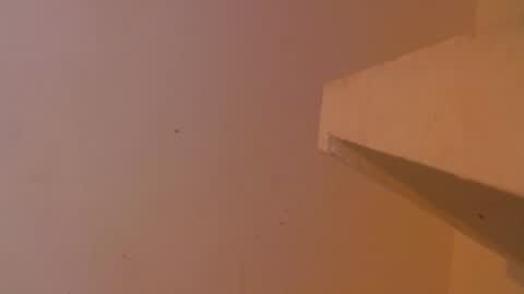 emily308876 online show from 05.05.26