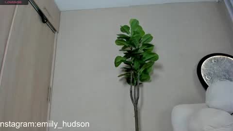 independet model online show from 06.30.26