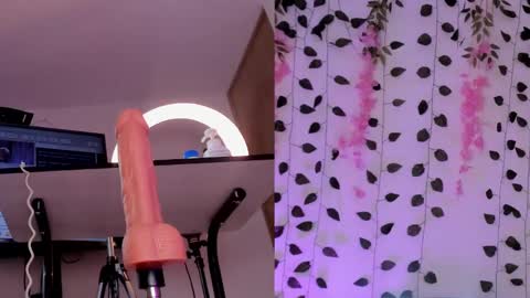 Emily online show from 01.26.25