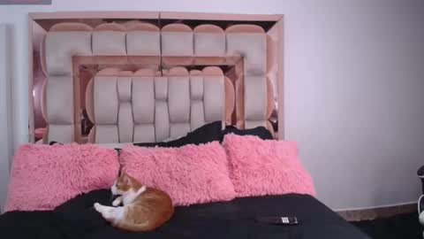 emily online show from 05.09.26