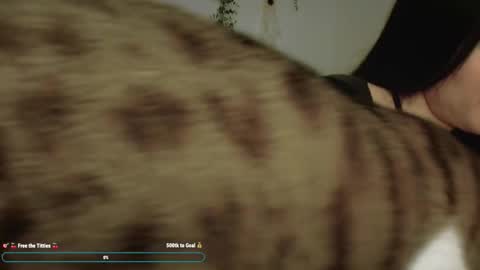 Snapshot of emilyalexa chatting on 12.22.25 Emily Alexa online show from 12.22.25