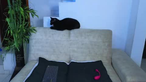 Emma Blue  modelo independiente online show from 04.23.26