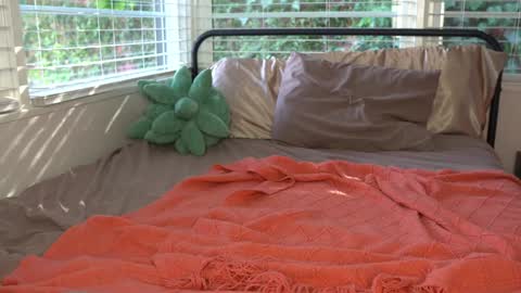 Snapshot of emma_ruby chatting on 01.18.25 Emma Ruby online show from 01.18.25