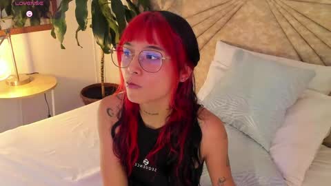          online show from 04.29.26