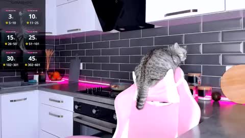 Shaiya online show from 02.28.25