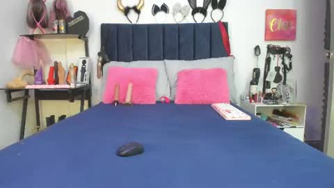          online show from 06.12.26