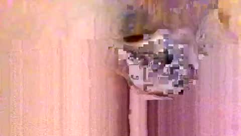 take it easy online show from 01.13.26