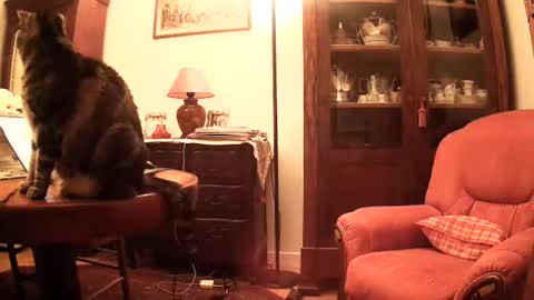 Steph et Eric online show from 11.26.25