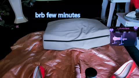 Snapshot of erotic_dessire chatting on 01.27.25 Eve online show from 01.27.25