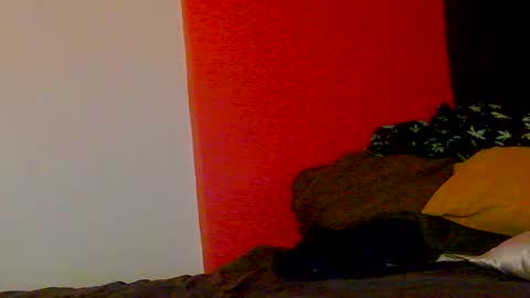 Snapshot of erotica_angel chatting on 02.20.26 Nikki Erotica online show from 02.20.26