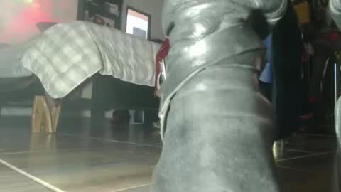 Eskela911 online show from 10.06.25