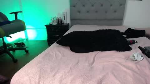 Perla online show from 11.12.25