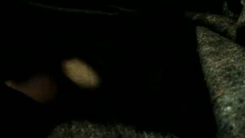 estelarseiya online show from 01.04.25