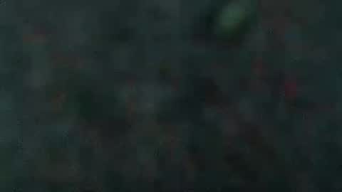 estelarseiya online show from 02.05.25