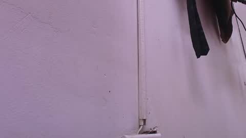 Snapshot of estrella_hanks_ chatting on 02.22.25 Estrella online show from 02.22.25