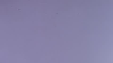 Snapshot of estrella_hanks_ chatting on 10.01.25 Estrella online show from 10.01.25