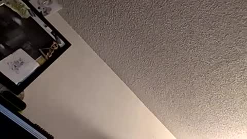 Snapshot of et528007 chatting on 11.07.25 et528007 online show from 11.07.25