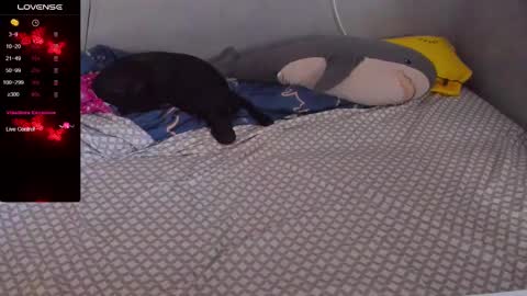 Eva online show from 02.20.25