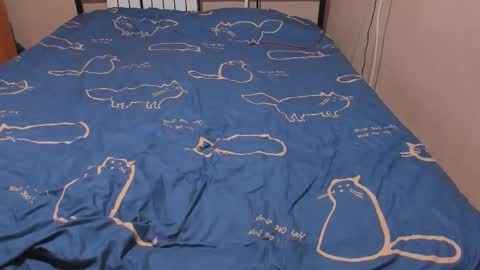 Eva online show from 01.11.26