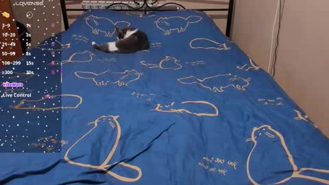 Eva online show from 02.08.26