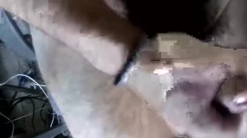 eveline_figeroa3 online show from 06.26.26