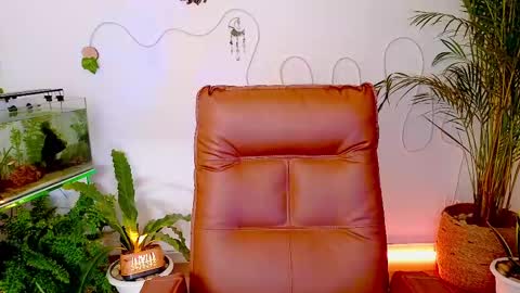 Im Eve or Chelle Next Stream 191224  online show from 05.01.26