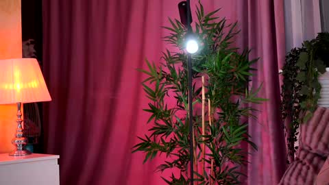 Evelyn online show from 02.05.25