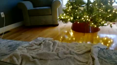 Snapshot of everleighmae chatting on 12.09.24 Everleighmae online show from 12.09.24