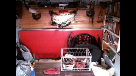 Snapshot of evpierce chatting on 03.30.26 EvPierce online show from 03.30.26