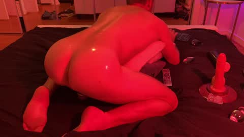 exhibitp online show from 12.10.24