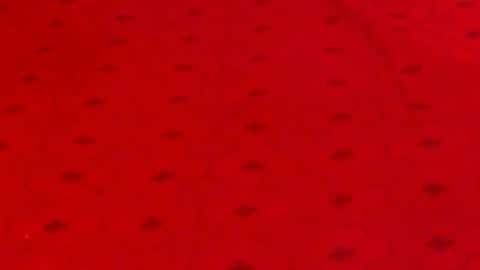 Alana online show from 12.09.24