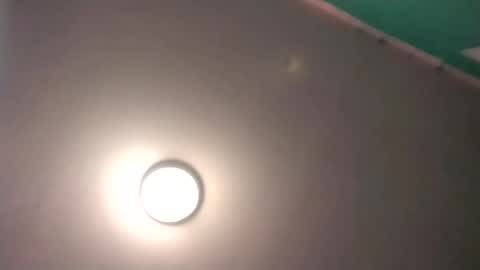 experttreecompany online show from 02.17.26