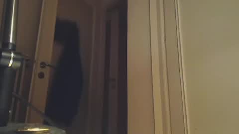 EZCODA online show from 01.02.25