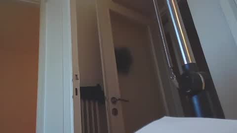 EZCODA online show from 01.14.25