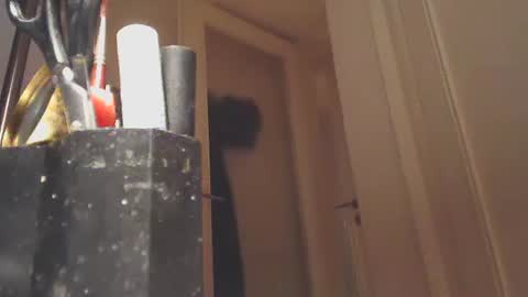 EZCODA online show from 01.26.25