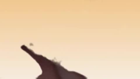 fabinou32 online show from 11.22.25