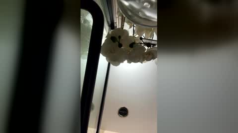 Snapshot of fabiolacal11 chatting on 02.28.26 fabiolacal11 online show from 02.28.26