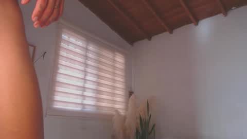 -  A N D E R online show from 01.11.25