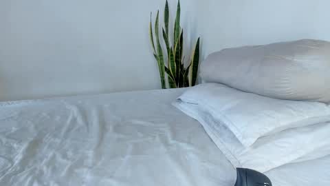 -  A N D E R online show from 11.04.25