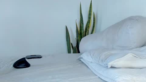 -  A N D E R online show from 11.09.25